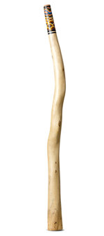 Heartland Didgeridoo (HD540)